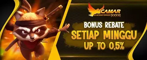 Cashback VIP 0.5% Setiap Hari banner