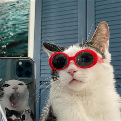 Nina Putri avatar