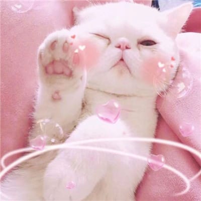 Sedah Mirah avatar